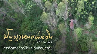 การจัดการสัตว์ป่าและถิ่นที่อยู่อาศัย | ปัญญาของแผ่นดิน