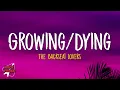 The Backseat Lovers - Growing/Dying (Lyrics)