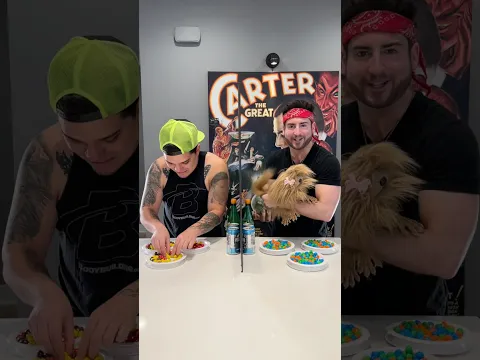 M&M Challenge - #Magic #Magician #Illusion#prank