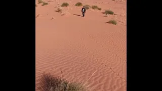 نوليلك لا اريد 