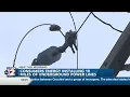 Consumers Energy burying power lines in Genesee Iosco counties