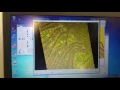 3d rendering z stack in imagej