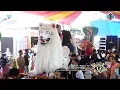 Download Lagu Tek Selang Lakine - Burok Mjm Live Belawa 08-08-2021
