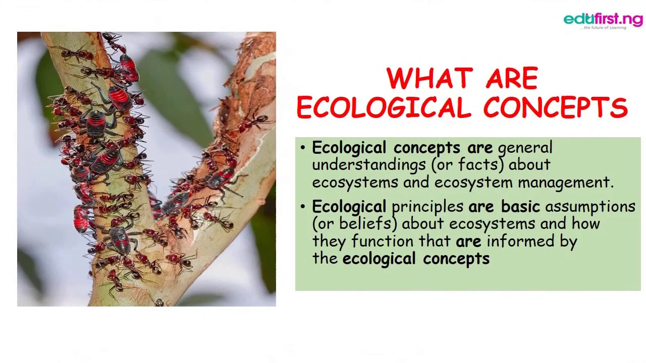 Basic Ecological Concepts | Biology | SS1 | 3rd Term