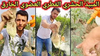 أقوى مبيد حشري وفطري عضوي طبيعي الكبريت الخارق 