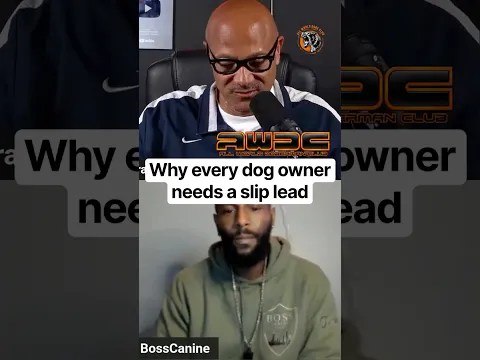 Why every dog owner needs a slip lead | Guest Justin @_bosscanine