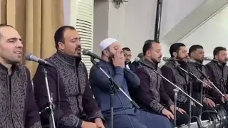                                                                                                   دندنها