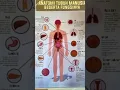 Download Lagu Anatomi Tubuh Manusia dan Organ nya #shortvideo #biologi #anatomitubuh