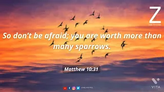 Matthew 10 31 Zabel Ministries Bible verse of the day Message and Prayer