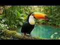 Peaceful Forest Birdsong & Soft Piano 🌿 Nature Sounds for Mental Clarity, Calm & Deep Rest
