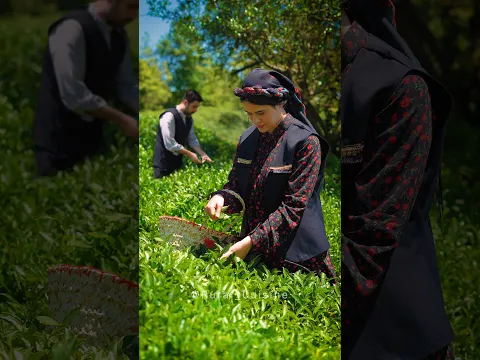 We Made Our Own Tea From Scratch! ☕️🍃
