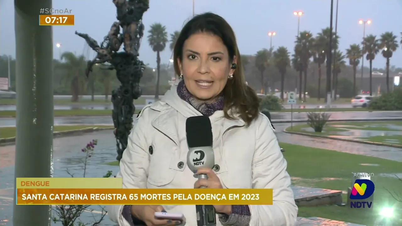 Santa Catarina continua registrando casos de dengue