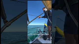 Day 53 living on a sailboat ⛵️ Back into the Ocean we go #sailboatlife #dayinthelife