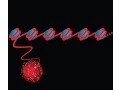 Gene regulation and the epigenome