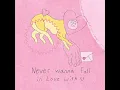 nelward - Never Wanna Fall in Love With U (lyric video)
