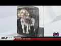 Sheboygan County Humane Society rescues schnauzers from breeder