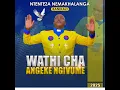 Nangu Umthokozisi