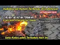 Lagu KEBAKARAN HUTAN TERBESAR DI INDONESIA! 745 HEKTAR LUDES TERBAKAR,DETIK² RIAU JADI LAUTAN API,