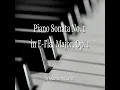 Piano Sonata No. 1 in E-Flat Major, Op. 1: II. Largo assai