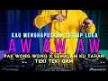 Download Lagu DJ KAU MENGHAPUSKAN SETIAP LUKA / AW AW AW x PAK WONG WONG SEMALAM KU TAHAN (RyanInside Remix)