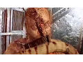 Video di Resident Evil 7 All Kills Deaths Scenes