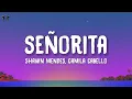 Shawn Mendes & Camila Cabello - Señorita (Lyrics)