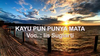 Download Iis Sugiarti - Kayu Pun Punya Mata (Audio + Lyrics) MP3