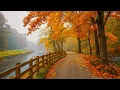 Download Lagu Muziektherapie voor je ziel 🍁 Stop met overdenken, stressverlichtende muziek met herfstmelodieën