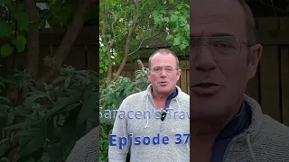 Episode 39 Short 1