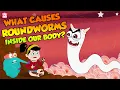 Lagu A Roundworm Parasite | What Causes Roundworms Inside our Body? | The Dr. Binocs Show