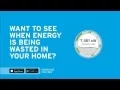 DTE Insight App and the Energy Bridge