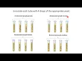 Lab 16 - Yeasts