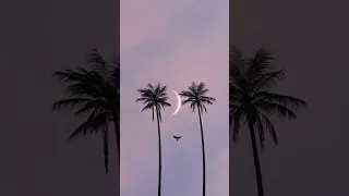 HD جمال الوجود بذكر الإله للمنشد محمد المقيط The Beauty Of Existence By Muhammad Al Muqit  HD جمال الوجود بذكر الإله للمنشد محمد المقيط The Beauty Of Existence By Muhammad Al Muqit