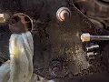 30 MIN QUICK FIX BRAKE LINE REPAIR ANY BOXTRUCK HINO - TRUCKS