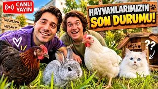 BAHÇEMİZDE NELER OLUYOR ?!