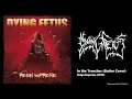 DYING FETUS - In the Trenches (Guitar Cover with On Screen Tabs)