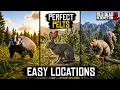 The Only Locations You Need for Perfect Squirrel Badger Pelts