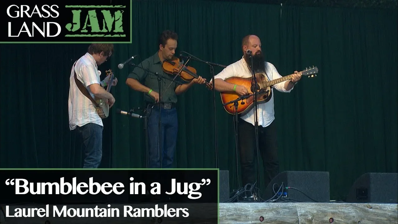 Grassland Jam: "Bumblebee in a Jug" The Laurel Mountain Ramblers