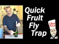 Get Rid of Fruit Flies Fast - Easy Fruit Fly Trap