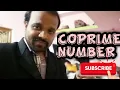 STD-10 COMPUTER COPRIME NUMBER PROGRAM IN JAVA