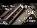 The BEST Mouse or RAT trap system that you can make yourself Voles are easily controlled too