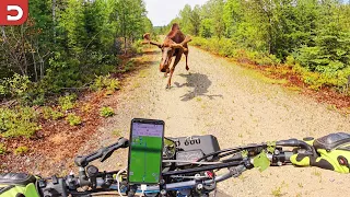 Teslas Can See Ghosts Now