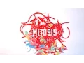 Mitosis Sammy s School of Sweets