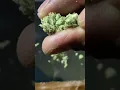 Green light dispensary superglue review