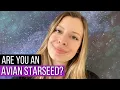 All About Avian Starseeds - 7 Clear Signs You Are One