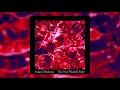 Emmi Tholerus - The New World Order (Full Album)