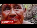 Download Lagu 'I will give my last drop of blood for this forest' - BBC News