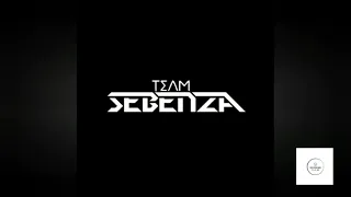 team sebenza yamnadinto