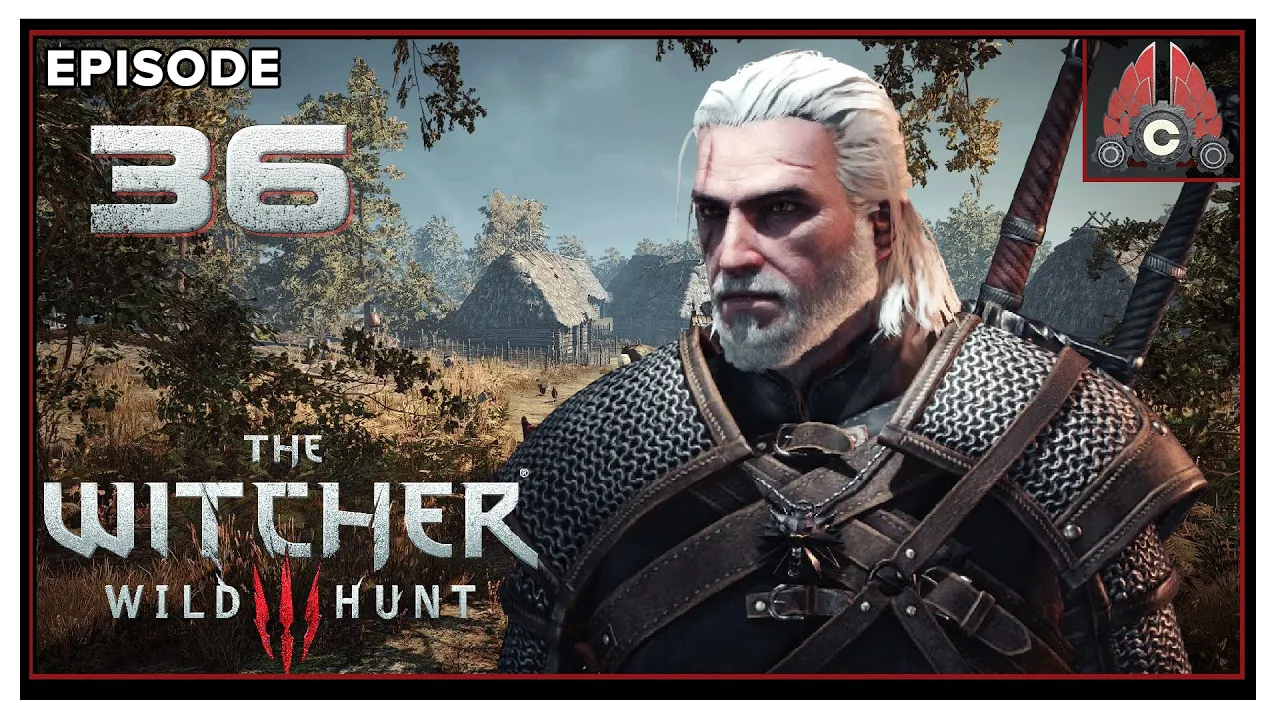 CohhCarnage Plays The Witcher 3: Wild Hunt (Death March/Full Game/DLC/2020 Run) - Episode 36