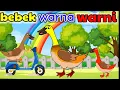 Download Lagu Bebek Warna Warni Dan Ayam Berkokok | Potong Bebek Angsa | Lagu Anak Anak